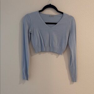 Brandy Melville Blue Fitted Crop